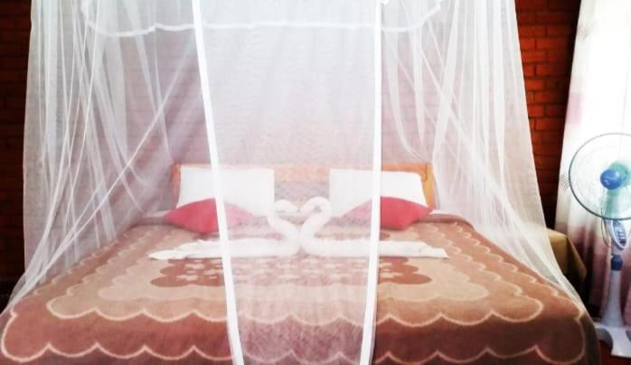 Rokkyhill Villa Procida Dış mekan fotoğraf